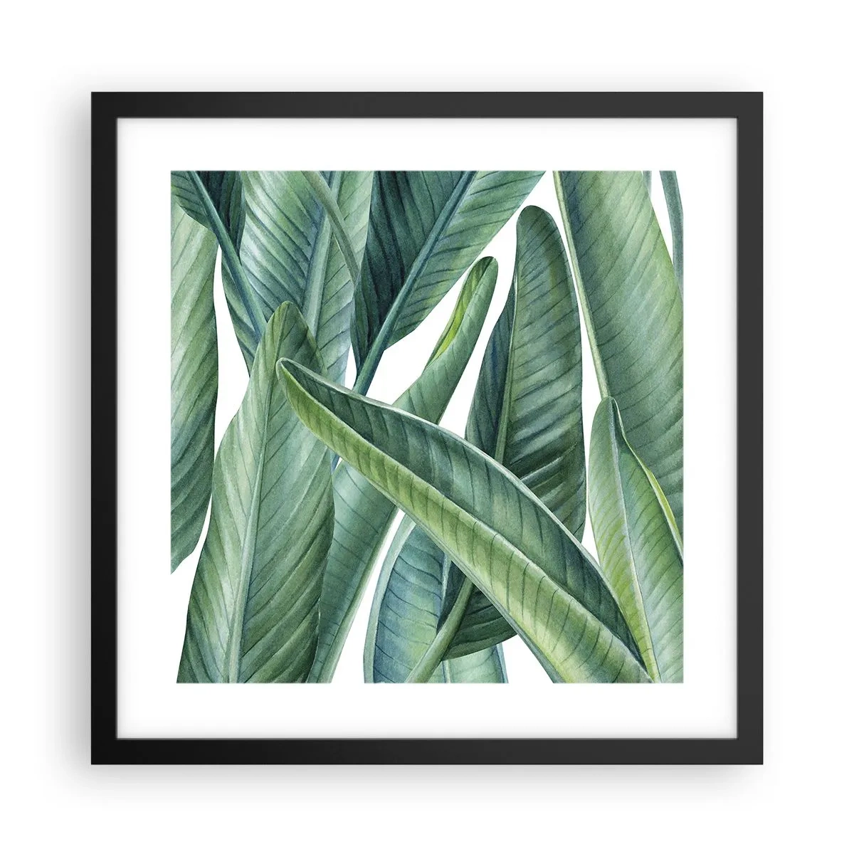 Plakat w czarnej ramie - Zieleń sama w sobie - 40x40 cm