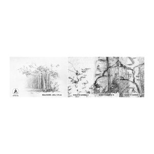 Fototapeta Próbka Standard Eco - Światło brzozowego lasu - Las, Brzoza, Drzewa - 100x30 cm