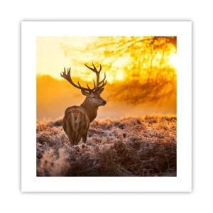 Plakat - Król jesiennego lasu - 40x40 cm