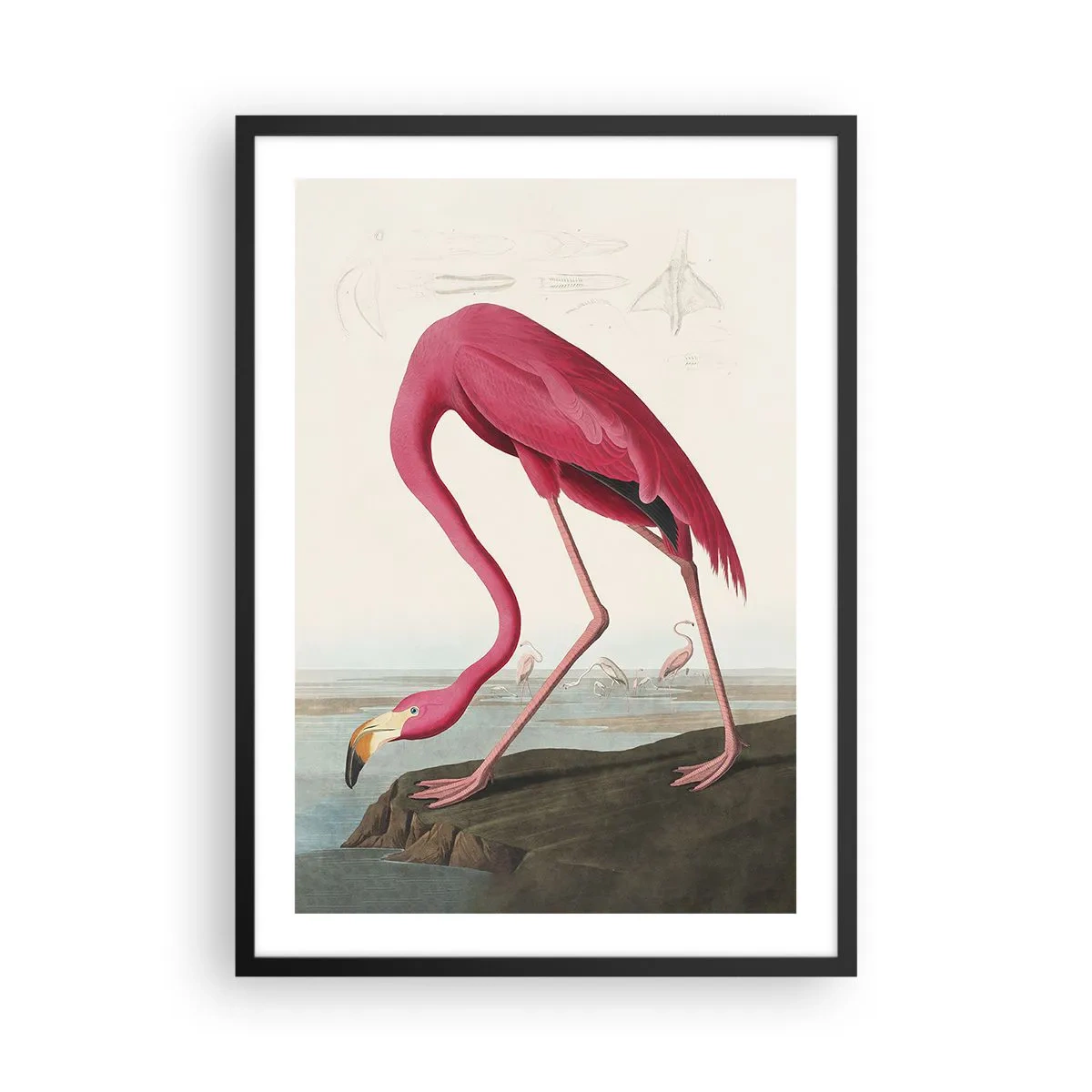 Plakat w czarnej ramie - Różowy flaming na tle naturalnego krajobrazu - 50x70cm - Zadziwiające stworzenie - Nowoczesna dekoracja ścienna do salonu i sypialni ARTTOR