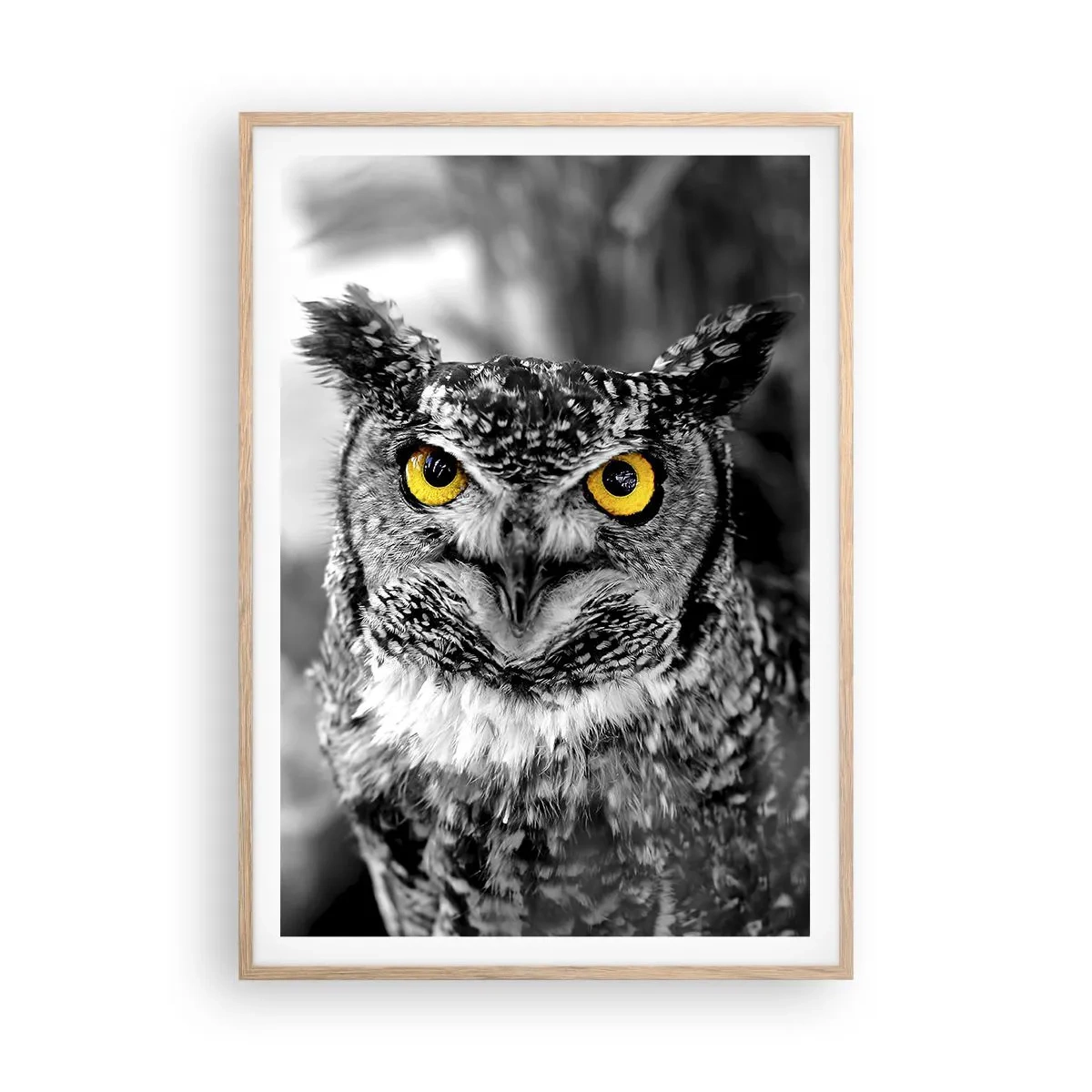 Plakat w ramie jasny dąb - Nic się nie ukryje - 70x100 cm