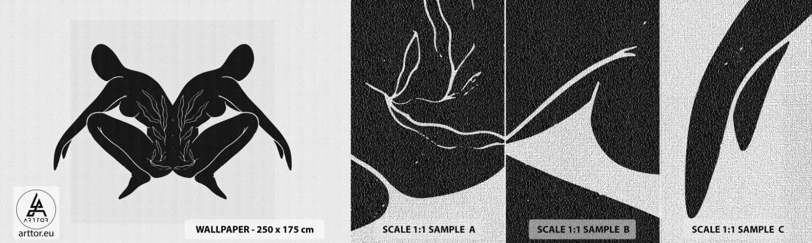 Fototapeta Próbka Premium Canvas - Wspólna dusza - Ludzie, Minimalistyczny, Bliźnięta - 100x30 cm