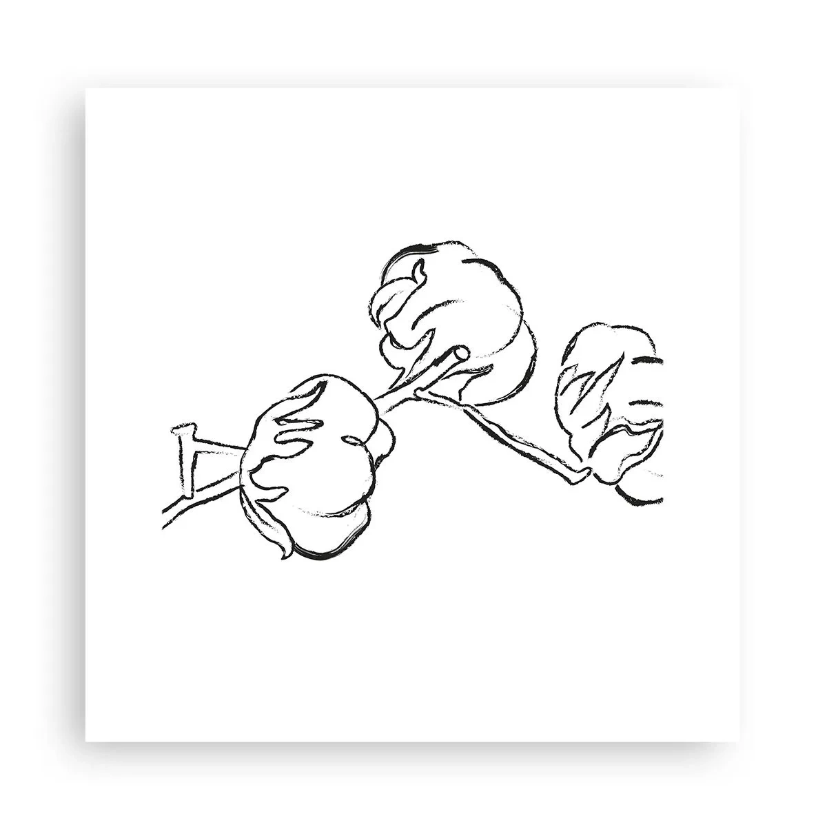 Plakat - Bawełniany puch - 30x30 cm