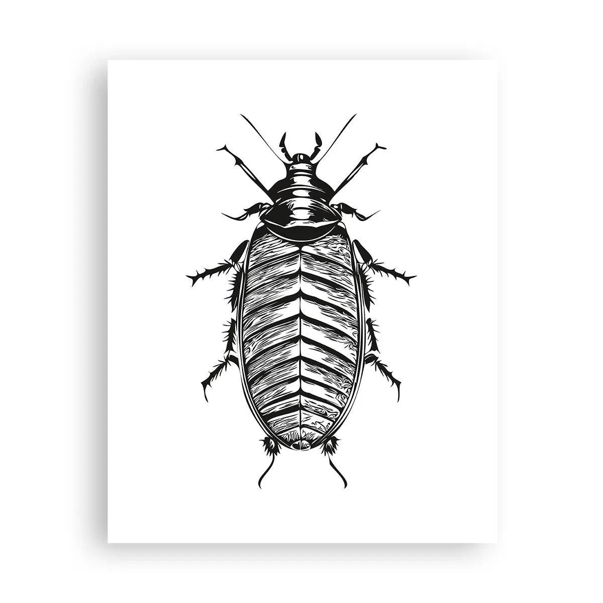 Plakat - Co za okaz! - 40x50 cm