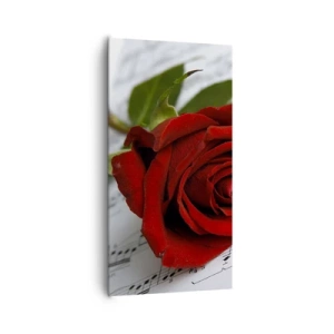 Obraz na płótnie - Muzyka uczuć w szkarłacie - 65x120 cm