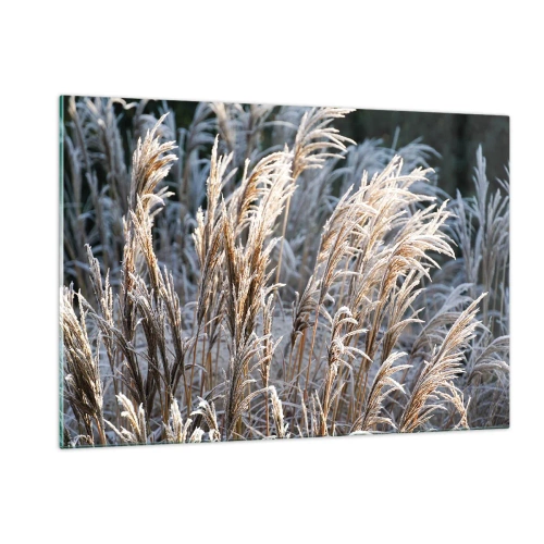 Obraz na szkle - Zmrożone trawy w zimowym słońcu - 120x80cm - Szronem ustrojone - Nowoczesna dekoracja ścienna do salonu, kuchni i sypialni ARTTOR