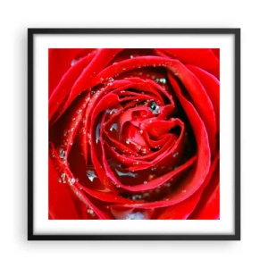 Plakat w czarnej ramie - W kroplach rosy - 50x50 cm