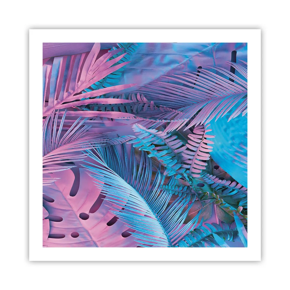 Plakat - Tropiki w różu i błękicie - 60x60 cm