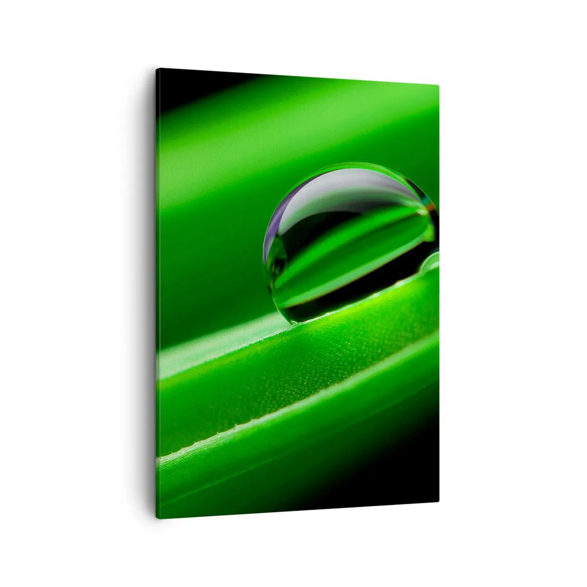 Obraz na płótnie - Kropla wody na zielonym liściu w zbliżeniu - 50x70cm - Życie z bliska - Nowoczesna dekoracja ścienna do salonu, kuchni i sypialni ARTTOR