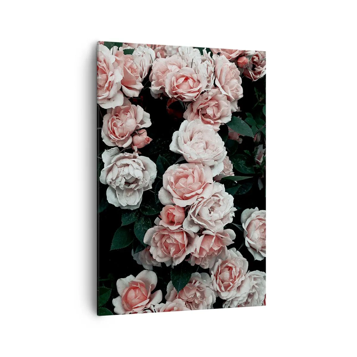 Obraz na płótnie - Różowe róże na ciemnym tle w subtelnej kompozycji - 70x100cm - Różany ansamble - Nowoczesna dekoracja ścienna do salonu i sypialni ARTTOR
