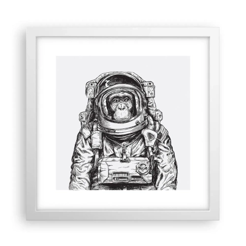 Plakat w białej ramie - Alternatywna ewolucja - 30x30 cm