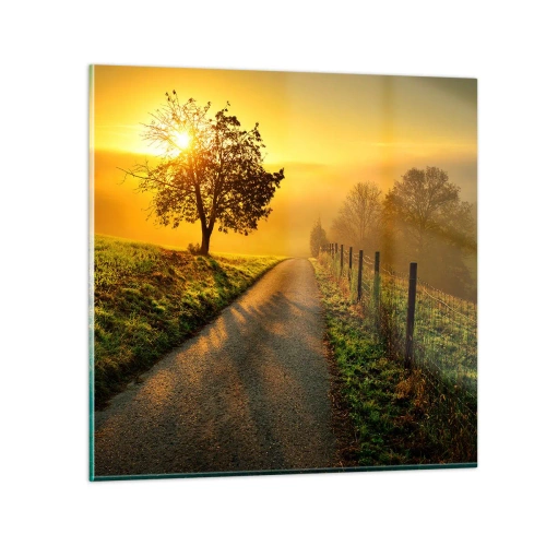 Obraz na szkle - Miodne popołudnie - 50x50 cm