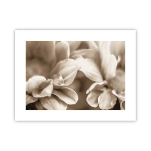 Plakat - Łagodne jak uśmiech - 40x30 cm