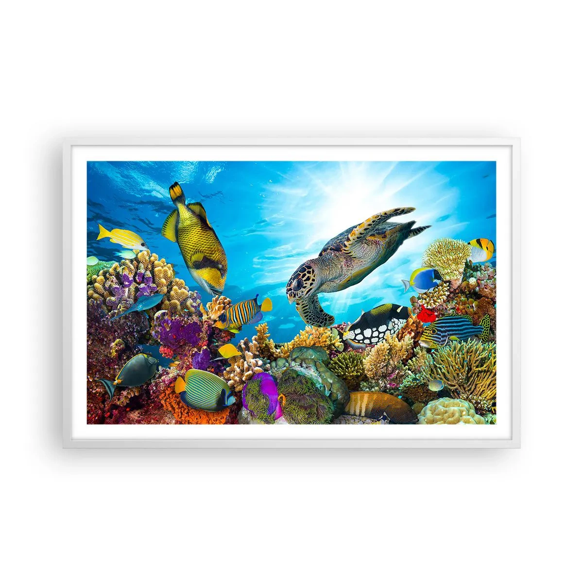 Plakat w białej ramie - Koralowa promenada - 91x61 cm
