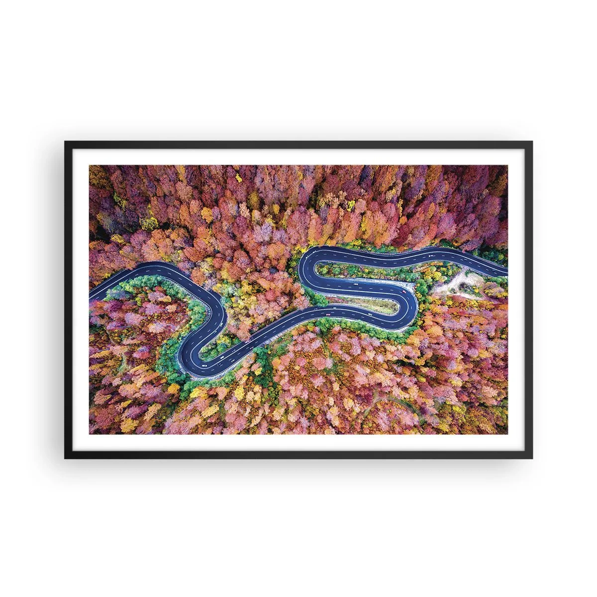 Plakat w czarnej ramie - Krętą drogą poprzez las - 91x61 cm