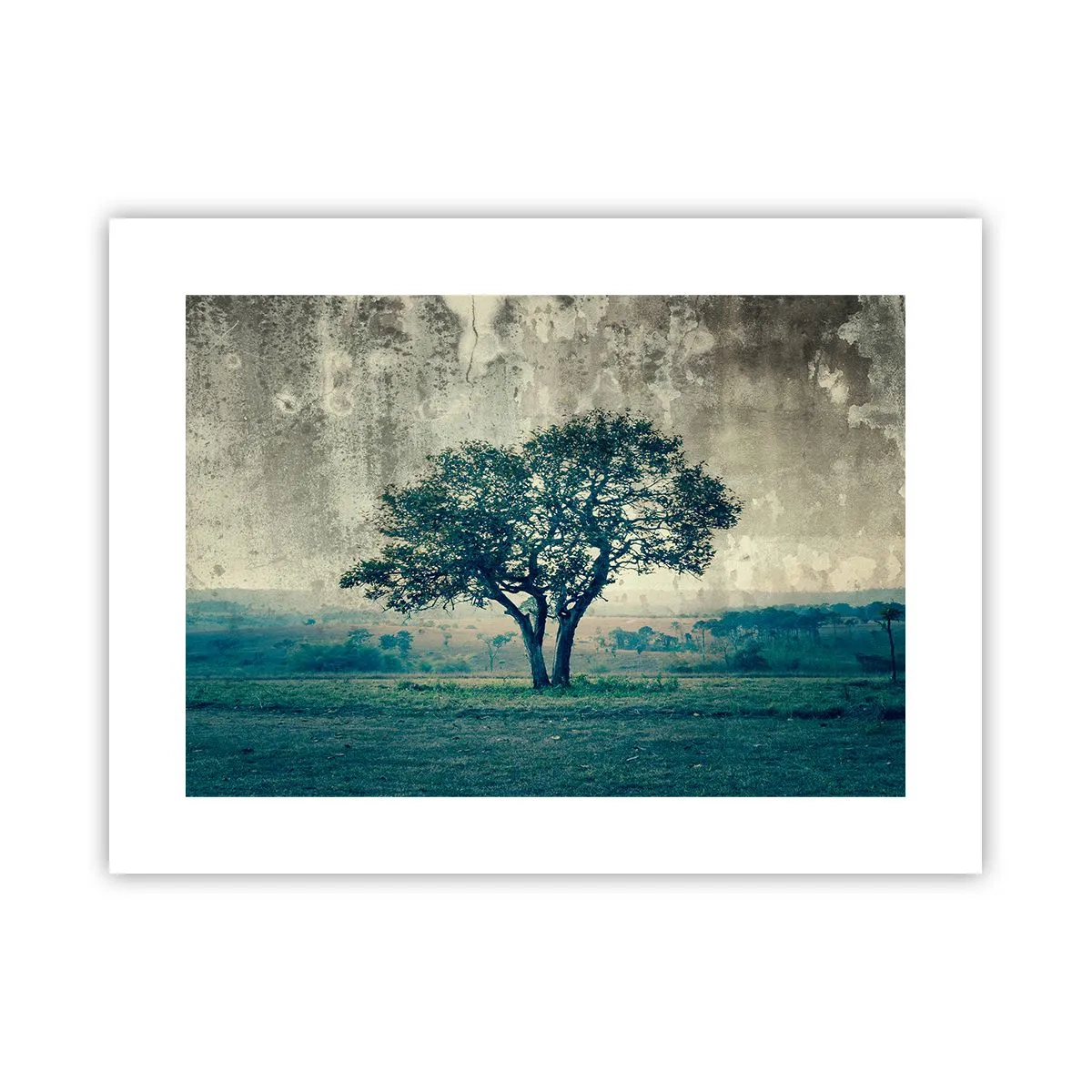 Plakat - Jabłoń na błękitnym błoniu? - 40x30 cm