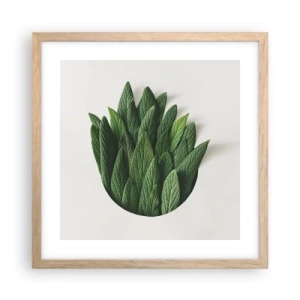 Plakat w ramie jasny dąb - Nieposkromiona ciekawość - 40x40 cm