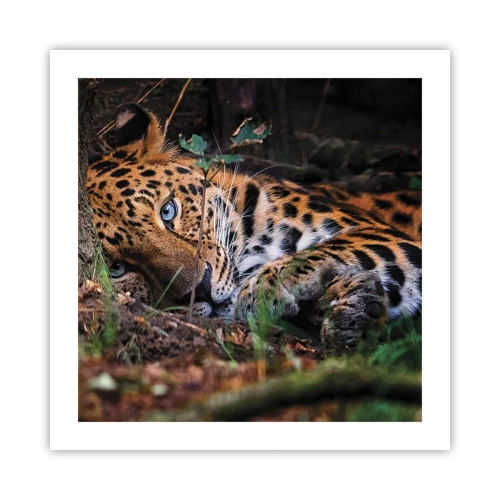 Plakat - Zaufaj mi - 50x50 cm