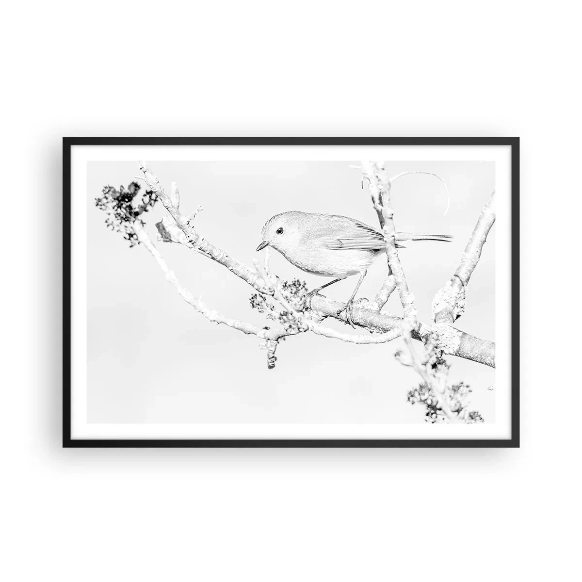 Plakat w czarnej ramie - Zimowy poranek - 91x61 cm