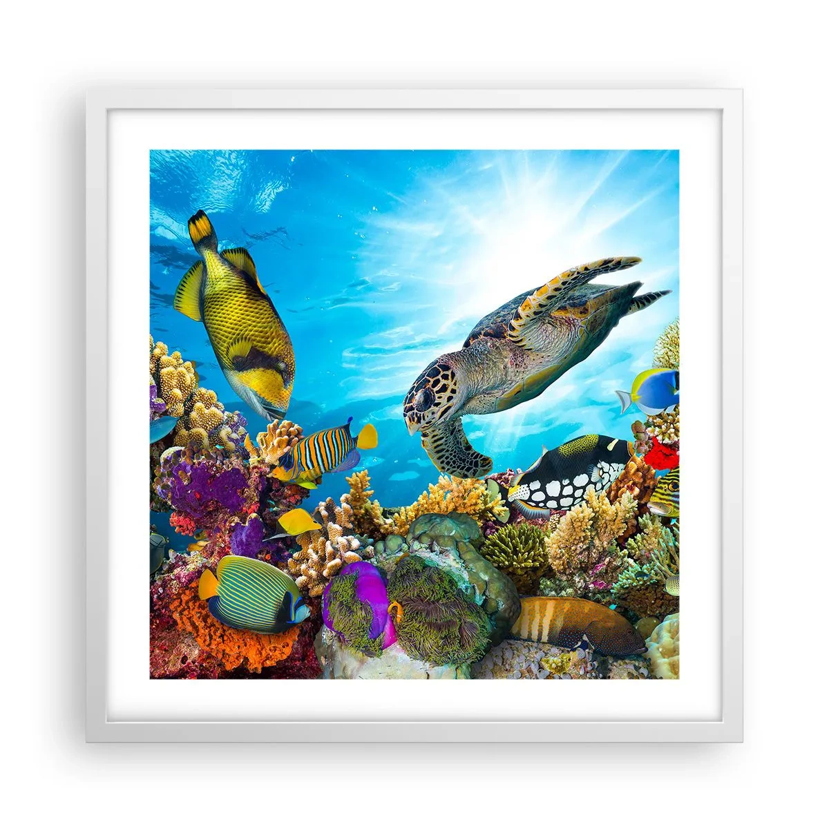 Plakat w białej ramie - Koralowa promenada - 50x50 cm