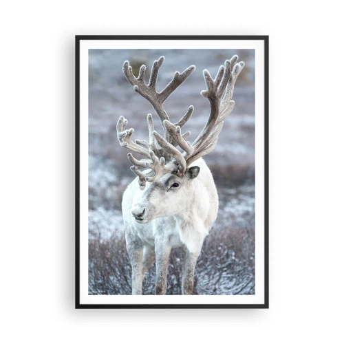 Plakat w czarnej ramie - Portret w słońcu - 70x100 cm