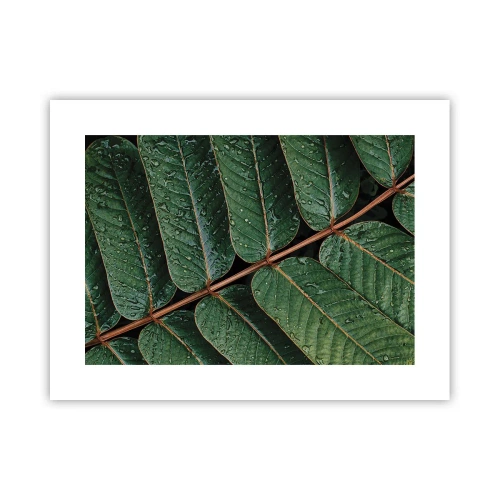 Plakat - W zielonym rytmie - 40x30 cm