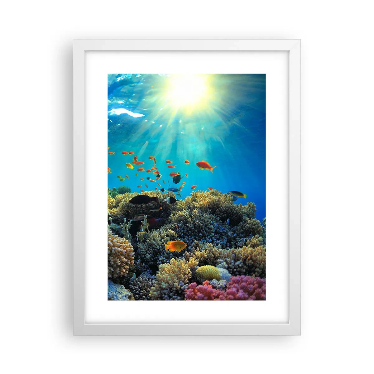 Plakat w białej ramie - Podwodne skarby - 30x40 cm