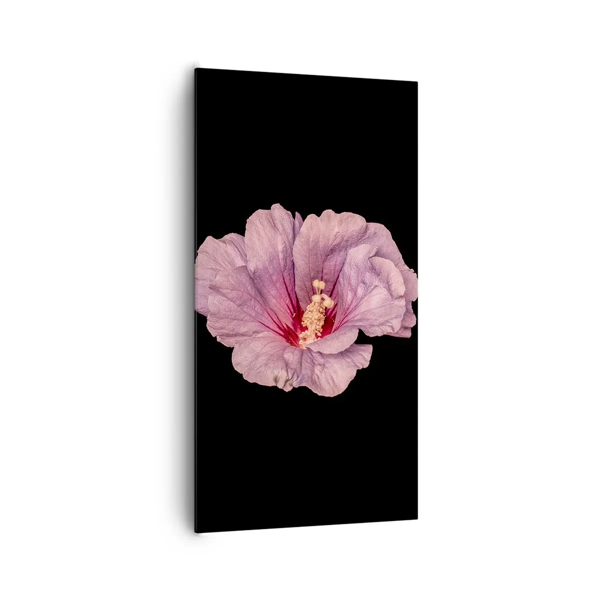 Obraz na płótnie - Prosto do serca - 65x120 cm