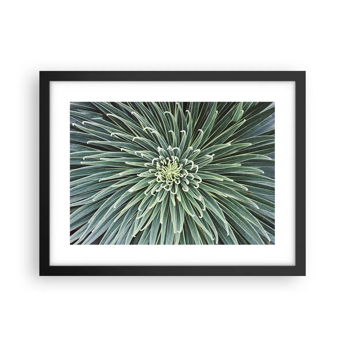 Plakat w czarnej ramie - Narodziny gwiazdy - 40x30 cm