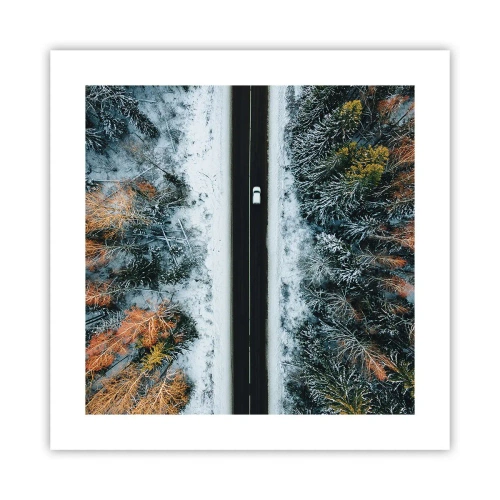 Plakat - Przeciąć zimowy las - 40x40 cm