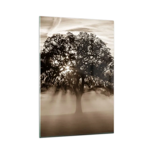 Obraz na szkle - Promienie słońca przebijające przez samotne drzewo - 80x120cm - Drzewo wiadomości samego dobrego - Nowoczesna dekoracja ścienna do salonu i sypialni ARTTOR