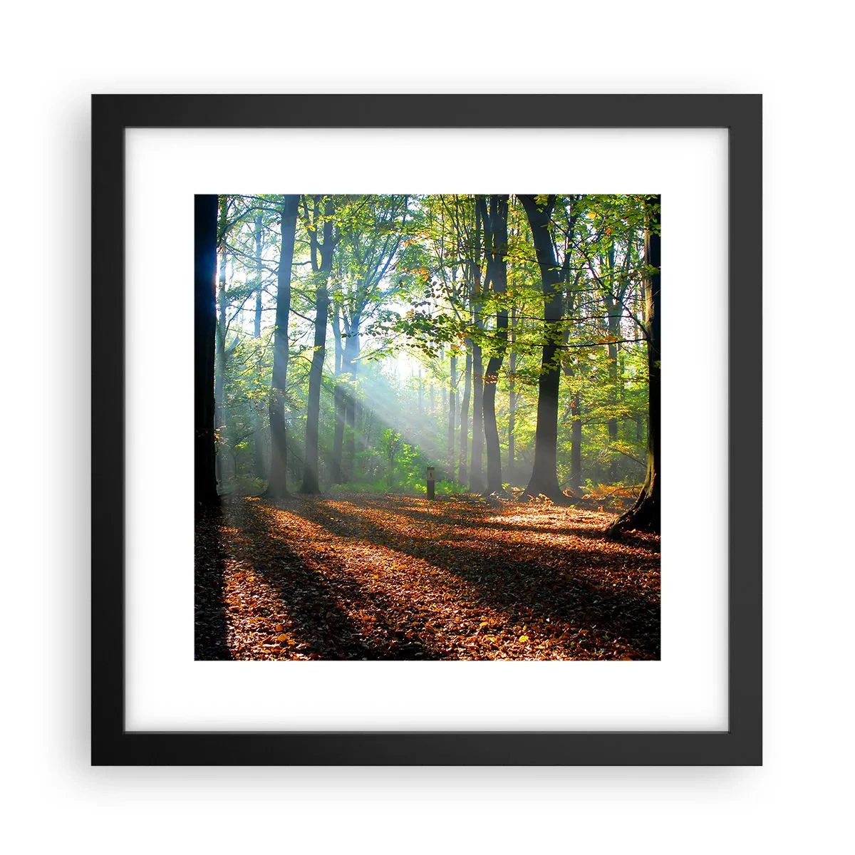 Plakat w czarnej ramie - Blaski i cienie - 30x30 cm