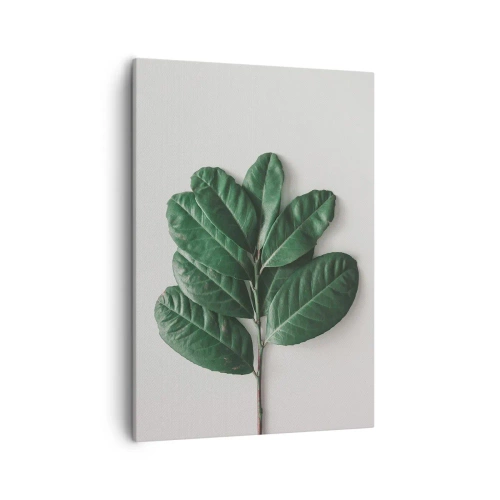 Obraz na płótnie - Gałązka zielonych liści na jasnym tle - 50x70cm - Rysunek samej natury - Nowoczesna dekoracja ścienna do salonu, kuchni i sypialni ARTTOR