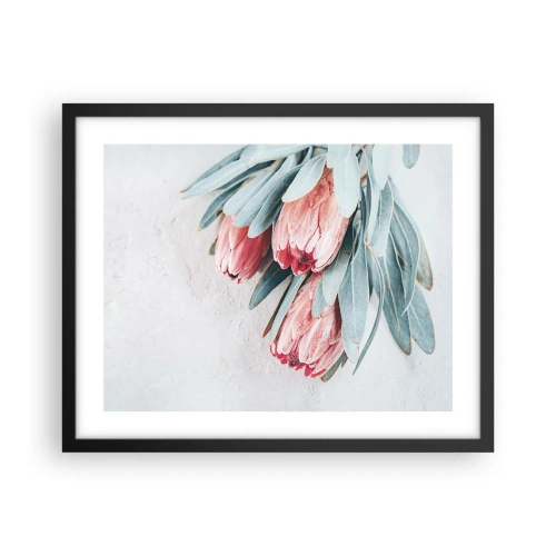 Plakat w czarnej ramie - Zawstydzone własną urodą - 50x40 cm