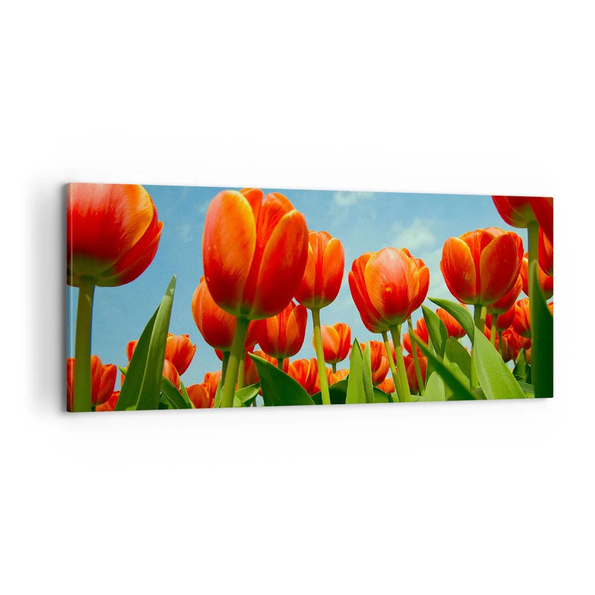 Obraz na płótnie - Oprócz błękitnego nieba nic im w życiu nie potrzeba - 100x40 cm