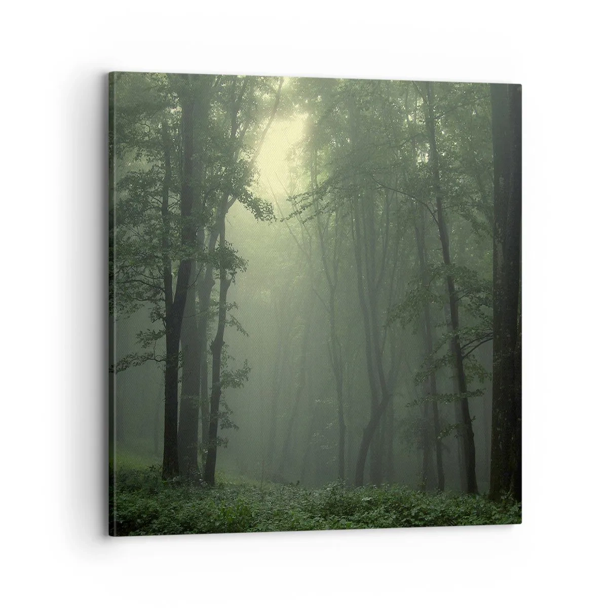 Obraz na płótnie - Zanim się obudzi - 70x70 cm