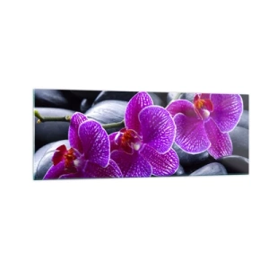 Obraz na szkle - Fioletowe orchidee na tle czarnych kamieni - 140x50cm - Kamienie pojaśniały z zachwytu - Nowoczesna dekoracja ścienna do salonu i sypialni ARTTOR