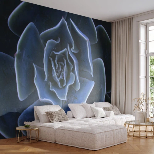 Fototapeta Premium Canvas - Zbliżenie na rozetę zielonego sukulentu - 100x70cm - Kwiat pustyni - Nowoczesna dekoracja ścienna do salonu i sypialni ARTTOR