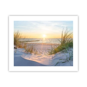 Plakat - Morza szum, ptaków śpiew, dzika plaża pośród traw… - 50x40 cm