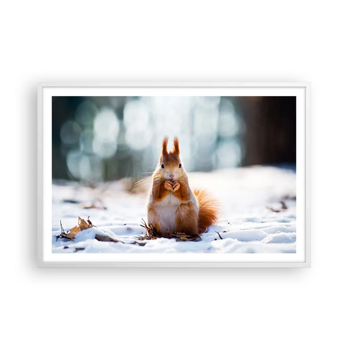 Plakat w białej ramie - I co tak patrzysz? - 91x61 cm