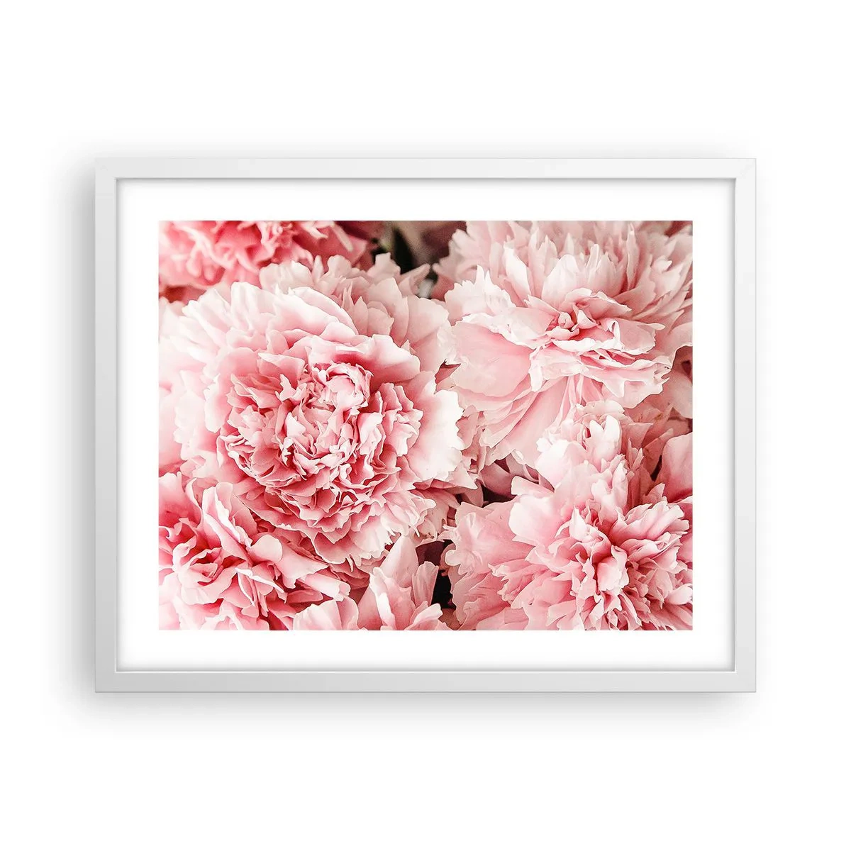 Plakat w białej ramie - Różowe marzenie - 50x40 cm