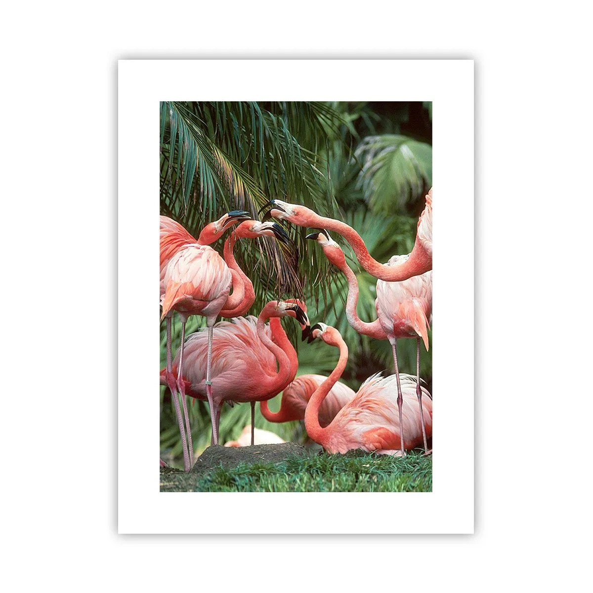 Plakat - Popołudniowe ploteczki - 30x40 cm