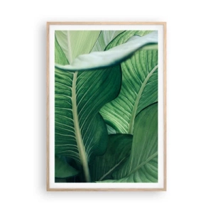Plakat w ramie jasny dąb - Życie intensywnie zielone - 70x100 cm