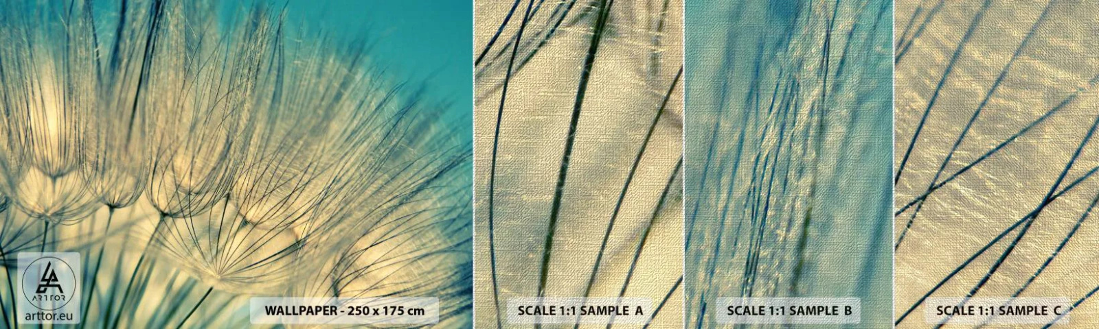 Fototapeta Próbka Premium Canvas - W oczekiwaniu na wiatr - Dmuchawiec, Łąka, Natura - 100x30 cm