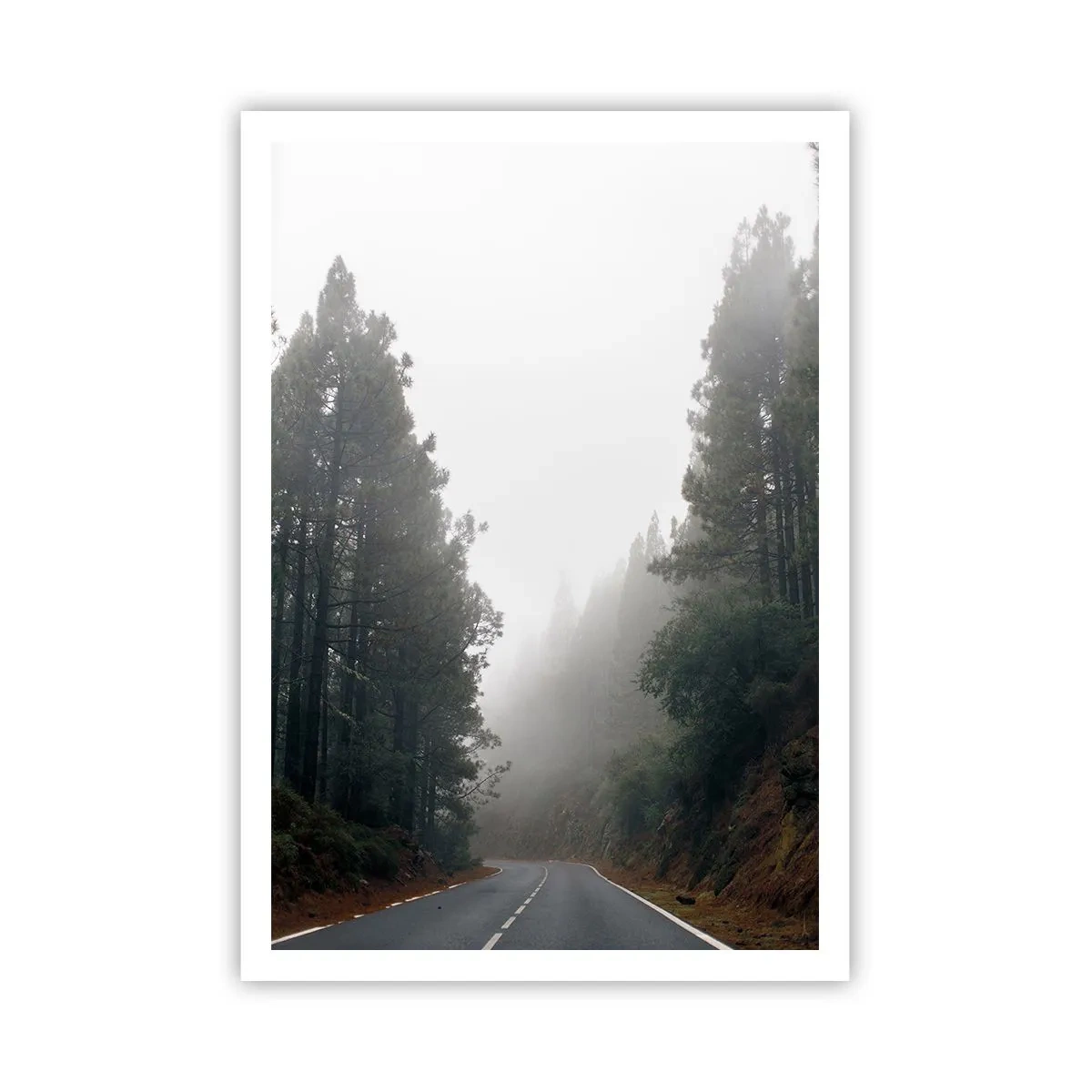 Plakat - Opowieść magicznego lasu - 70x100 cm