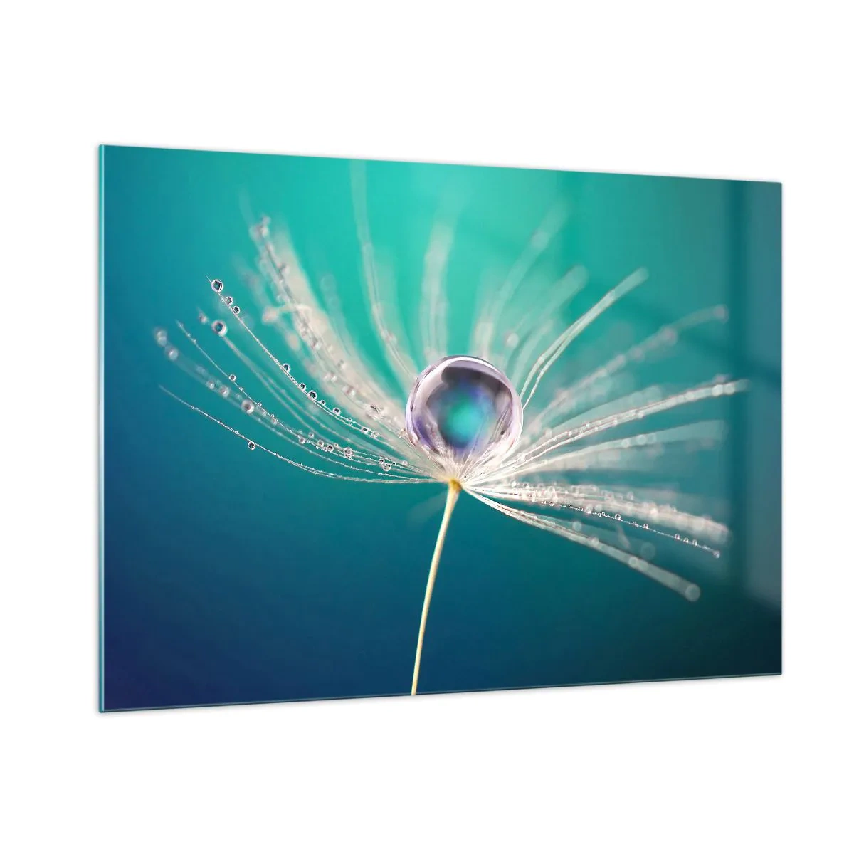 Obraz na szkle - Makrofotografia nasionka dmuchawca z kroplą rosy na turkusowym tle - 100x70cm - Mistyczna chwila - Nowoczesna dekoracja ścienna do salonu, kuchni i sypialni ARTTOR