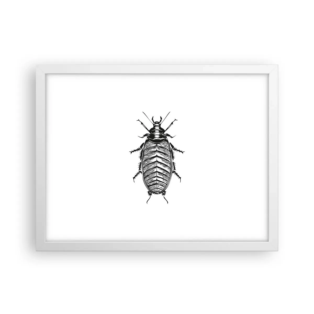 Plakat w białej ramie - Co za okaz! - 40x30 cm