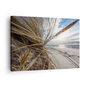 Obraz na płótnie - Plaża z suchymi trawami na wydmach i widokiem na morze - 70x50cm - Spotkanie żywiołów - Nowoczesna dekoracja ścienna do salonu i sypialni ARTTOR
