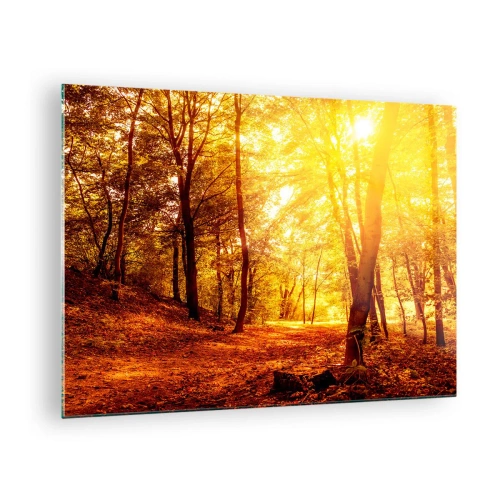 Obraz na szkle - Jesienny las oświetlony ciepłym blaskiem słońca - 70x50cm - Ku złotej polanie - Nowoczesna dekoracja ścienna do salonu i sypialni ARTTOR