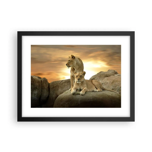 Plakat w czarnej ramie - Królewski majestat - 40x30 cm